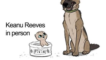 Satu lagi pengibaratan Keanu Reeves di game/film dengan di dunia nyata. (Foto: Boredpanda.com)