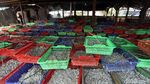 Serba-serbi Proses Pengolahan Ikan Asin di Utara Jakarta