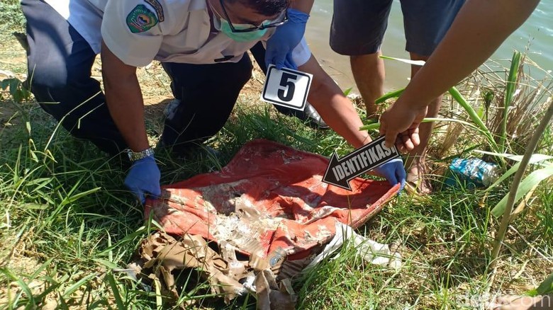 Mayat Bayi Ditemukan Terbuang di Pinggir Sungai Trenggalek Mayat Bayi Ditemukan Terbuang di Pinggir Sungai Trenggalek