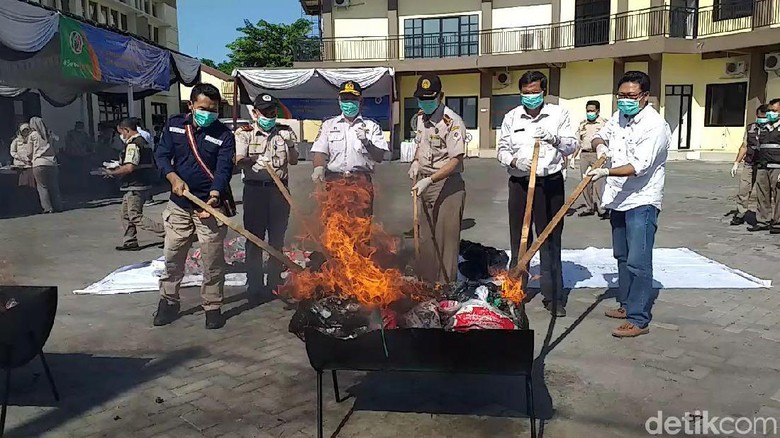 Komoditas Pertanian Berbahaya Senilai Rp 286 Juta Dimusnahkan Komoditas Pertanian Berbahaya Senilai Rp 286 Juta Dimusnahkan