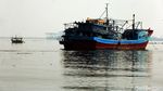 Nelayan Muara Angke Mulai Melaut