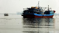 Harga ikan sempat naik tinggi karena kurangnya pasokan.