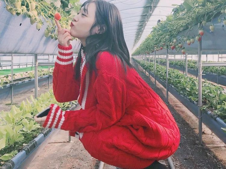 Gaya Kuliner Penyanyi Kpop Sulli yang Akan Rilis Lagu Solo Pertama