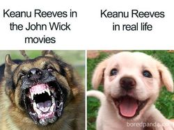 Ragam Meme Keanu Reeves Gahar di Game/Film, Aslinya Memesona