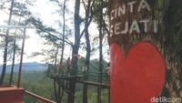 Objek wisata sepeda terbang ini menjadi favorit pengunjung yang hadir di Kawasan Hutan Pinus Malino. Dalam sehari ratusan pengunjung antre merasakan sensasi sepeda terbang. (Ibnu Munsir/detikcom)