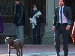 Ragam Meme Keanu Reeves Gahar di Game/Film, Aslinya Memesona