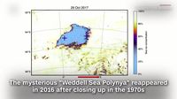 Polynya di Laut Weddell, Antartika (Screenshot CNN)