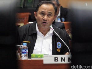 BNN Minta Tambahan Anggaran Rp 234 M, Salah Satunya untuk Breeding Anjing Pelacak