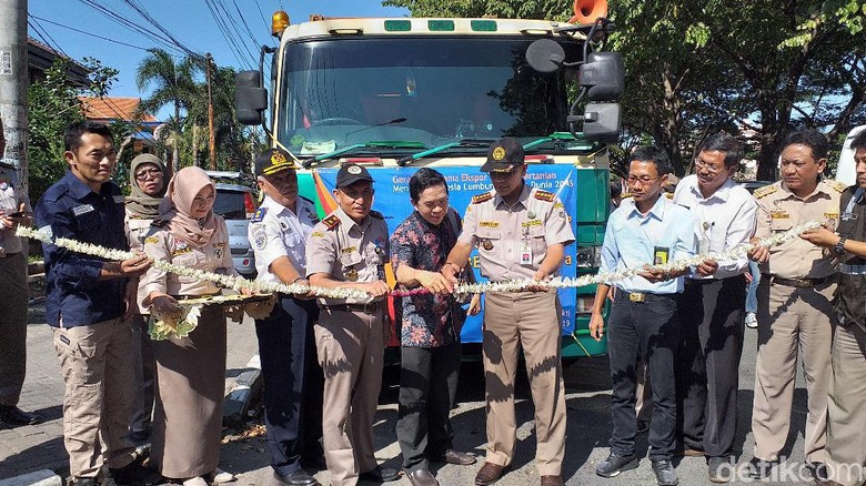 Balai Besar Karantina Pertanian Genjot Pasar Ekspor Jatim, Ini Langkahnya Balai Besar Karantina Pertanian Genjot Pasar Ekspor Jatim, Ini Langkahnya
