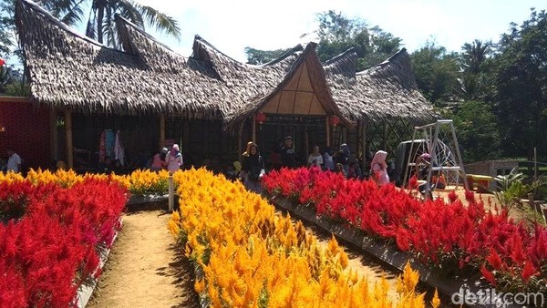 Taman Bunga Pagoda buka mulai tanggal 26 Mei 2019. Taman ini buka mulai pukul 08.00 sampai tutup pada 17.30 WIB. (Eko Susanto/detikcom) Taman Bunga Pagoda buka mulai tanggal 26 Mei 2019. Taman ini buka mulai pukul 08.00 sampai tutup pada 17.30 WIB. (Eko Susanto/detikcom)