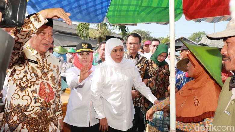PPDB SMA dengan Sistem Zonasi Dimulai, Khofifah Awasi Pungli PPDB SMA dengan Sistem Zonasi Dimulai, Khofifah Awasi Pungli