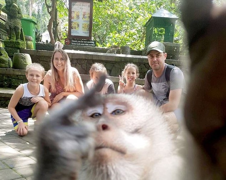 Foto selfie monyet di Ubud, Bali.