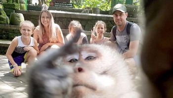 Kejadian monyet yang nampak mengacungkan jari ke arah kamera dialami oleh sebuah keluarga asal Australia yang sedang liburan di Ubud. Saat sedang difoto oleh seorang guide, monyet itu lewat sembari berpose. Foto: (Instagram/Judy Hicks)