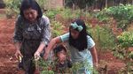 8 Foto Ini Buktikan Mendiang Ani Yudhoyono Senang Berkebun Sayuran dan Buah