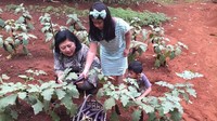 Istri dari Susilo Bambang Yudhoyono ini sudah lama senang berkebun. Pada 2015 bahkan ia memiliki kebun sayuran yang diberi nama Cikeas Jungle. Foto: instagram Ani Yudhoyono/annisa yudhoyono