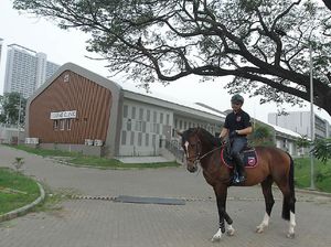 Agar Tak Terbengkalai, Jakarta Equestrian Park Dikelola Profesional