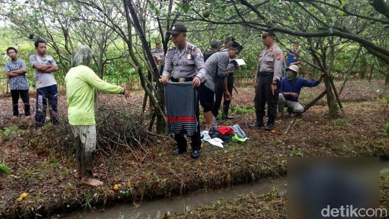 Pemudik asal Banyuwangi Ditemukan Tak Bernyawa di Kebun Jeruk Pemudik asal Banyuwangi Ditemukan Tak Bernyawa di Kebun Jeruk