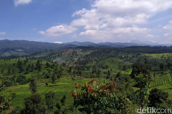 Foto: Pemandangan Cantik dari Bandung Selatan