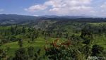 Foto: Pemandangan Cantik dari Bandung Selatan