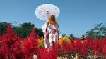 Foto: Taman Bunga Instagramable dari Magelang