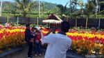 Foto: Taman Bunga Instagramable dari Magelang