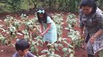 8 Foto Ini Buktikan Mendiang Ani Yudhoyono Senang Berkebun Sayuran dan Buah