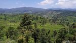 Foto: Pemandangan Cantik dari Bandung Selatan
