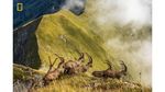 Foto-foto Traveling Terbaik 2019 dari National Geographic