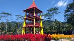 Foto: Taman Bunga Instagramable dari Magelang