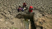 Seperti dilansir Reuters, Rabu (12/6/2019), suhu udara di New Delhi dilaporkan mencapai suhu tertinggi yang pernah ada yakni 48 derajat Celsius pada Selasa (11/6) waktu setempat. REUTERS/P. Ravikumar.