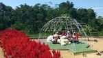 Foto: Taman Bunga Instagramable dari Magelang