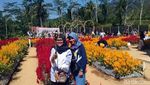 Foto: Taman Bunga Instagramable dari Magelang