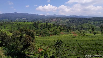 Foto: Pemandangan Cantik dari Bandung Selatan