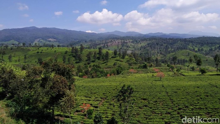 Bukit Indah Gambung Bandung