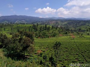 Keindahan Bandung Selatan yang Tak Banyak Orang Tahu