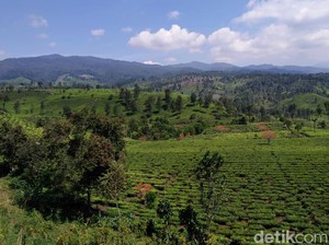 Keindahan Bandung Selatan yang Tak Banyak Orang Tahu