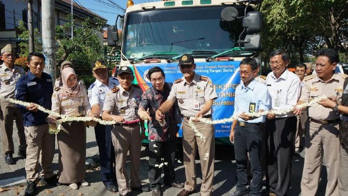 Foto: Dok Kementan Foto: Dok Kementan