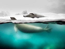 Karya Jawara Kontes Foto NatGeo Travel Bikin Terpana