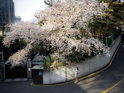 Karya Jawara Kontes Foto NatGeo Travel Bikin Terpana