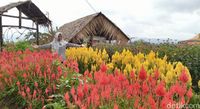 Tempat Wisata Di Ciamis Yang Baru Dan Instagramable Tempat Wisata Di Ciamis Yang Baru Dan Instagramable