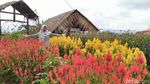 Foto: Kampoeng Sawah yang Instagramable di Ciamis