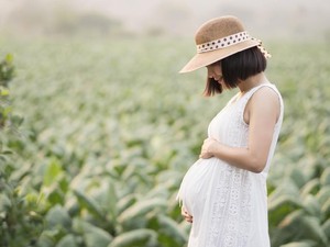 12 Makanan yang Mengandung Asam Folat Tinggi untuk Ibu Hamil