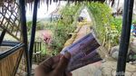 Foto: Kampoeng Sawah yang Instagramable di Ciamis