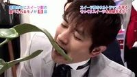Candy or Not Candy, Game Unik di Korea yang Menebak Mana Cokelat Asli 