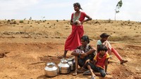 Kekeringan yang terjadi di sejumlah daerah di India ini membuat sejumlah hewan ternak mati dan kegagalan panen karena krisis air. Warga pun harus memutar otak agar dapat bertahan hidup di tengah krisis air akibat suhu ektrem tersebut.