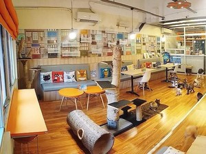 Yuk, Ngopi Asyik di 5 Kafe Baru di Kawasan Kemang!