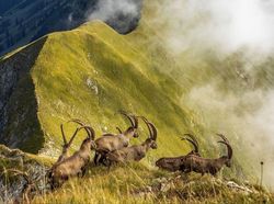 Karya Jawara Kontes Foto NatGeo Travel Bikin Terpana