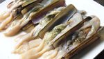 Uniknya Aneka Jenis Kerang, Ada yang Mungil dan Super Besar