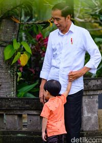 Makan Siang di Ubud, Jokowi Temani Jan Ethes Main di Tepi Sawah