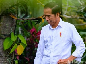 Jokowi Disuntik Vaksin COVID-19 Besok Pagi, Istana Koordinasi ke Kemenkes